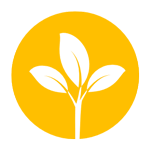 Еко стандарти